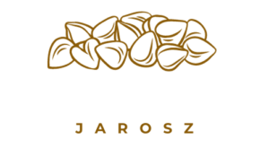 logo kaszarni